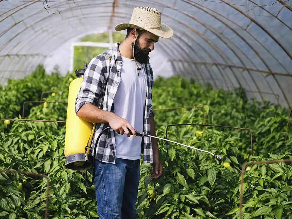 agricultores ficam mais protegidos usando controles biologicos de pragas. menor necessidade de epis